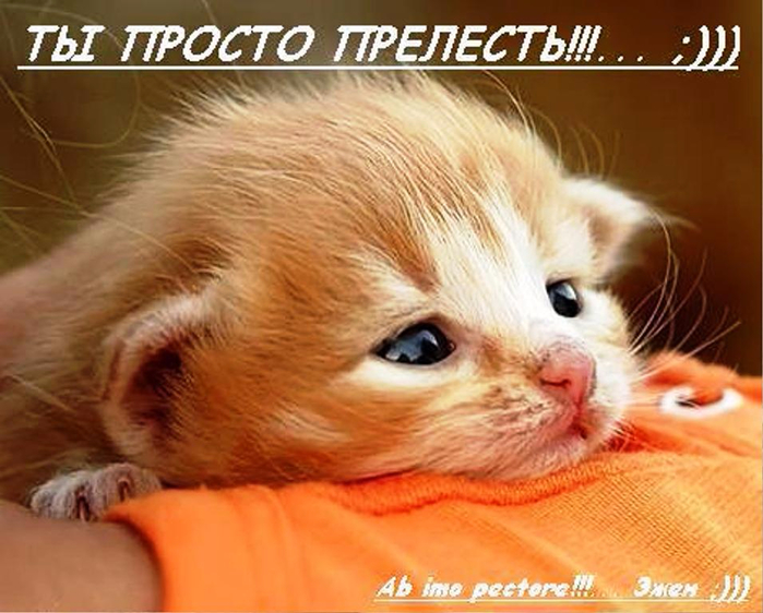 Её сиськи просто прелесть