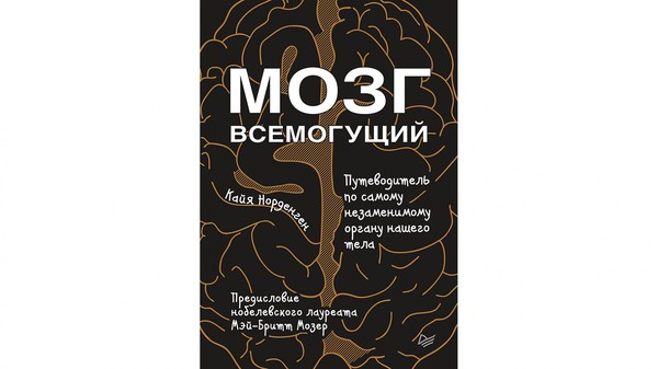 Норденген К. Мозг всемогущий. Хлыстова Е